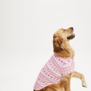 Novelty Dog Shirt